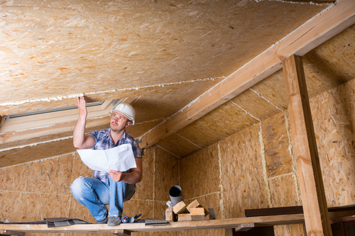 Tips To Keep Your Attic Pest Free Pest Secure